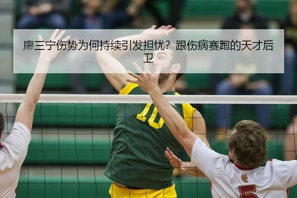 liao-san-ning-shang-shi-wei-he-chi-xu-yin-fa-dan-you-gen-shang-bing-sai-pao-de-tian-cai-hou-wei-2-371.jpg